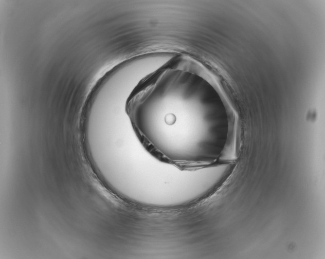 X0000091471026200709061814