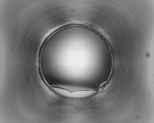 X0000091471028200709061814