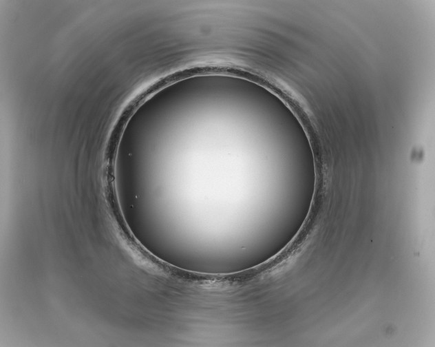 X0000091471029200709061814