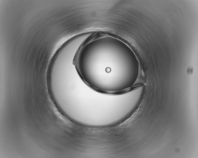 X0000091471030200709061814