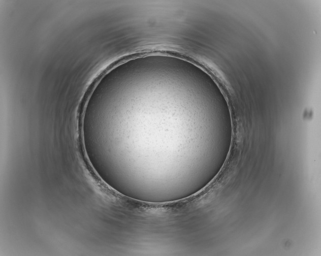 X0000091471031200709061814