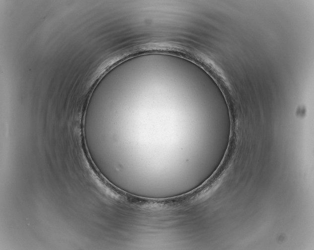 X0000091471033200709061814