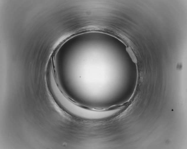 X0000091471034200709061814