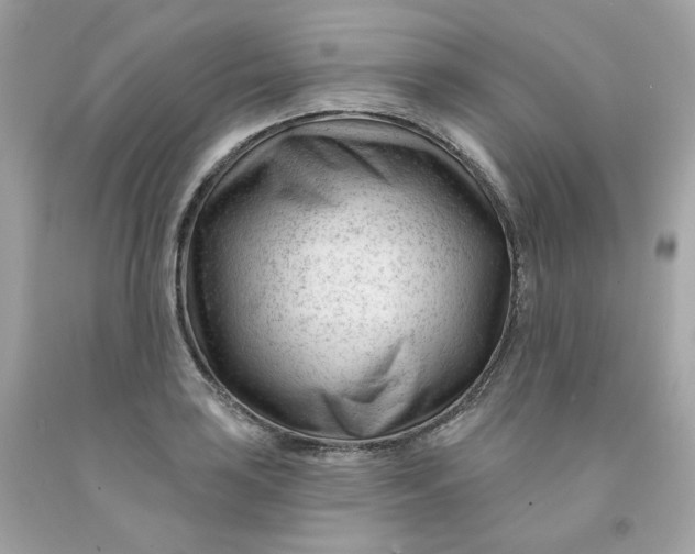 X0000091471035200709061814