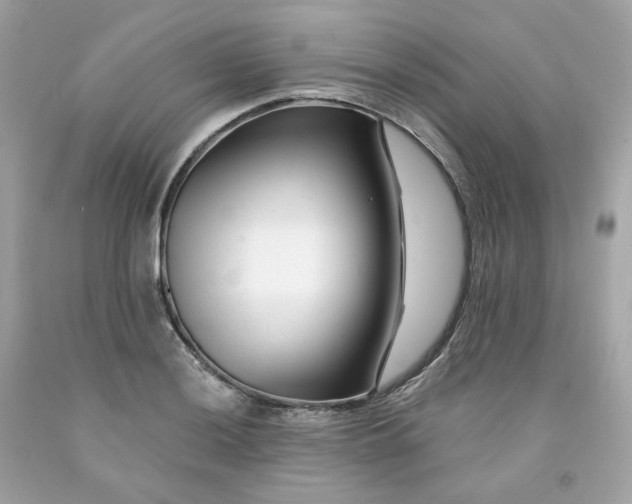 X0000091471036200709061814