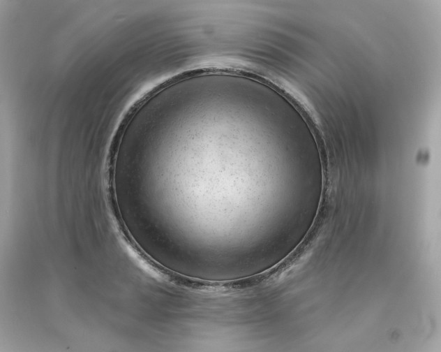 X0000091471037200709061814