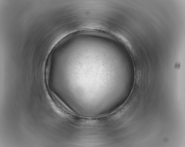 X0000091471039200709061814