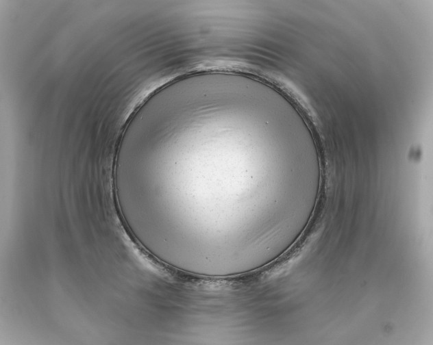 X0000091471041200709061814