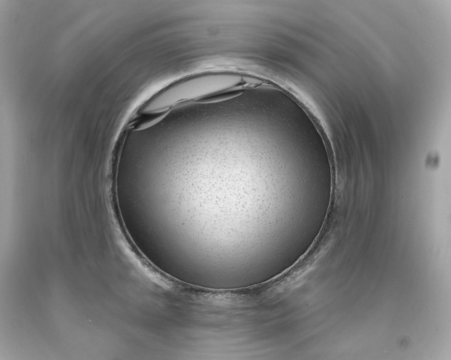 X0000091471045200709061814