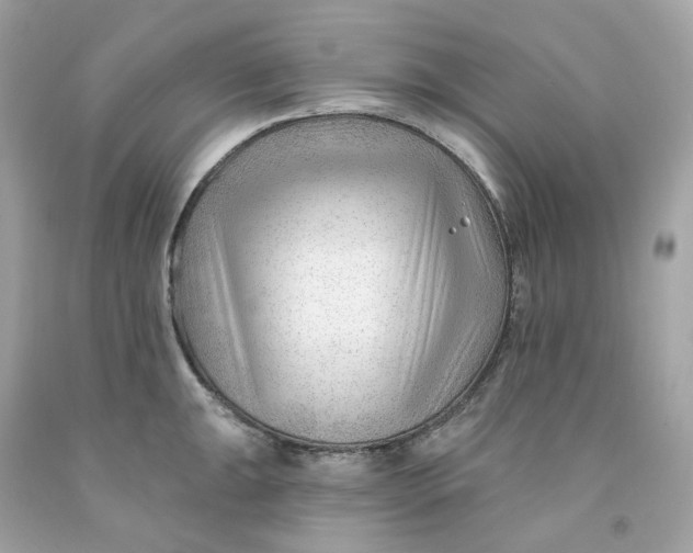 X0000091471047200709061814