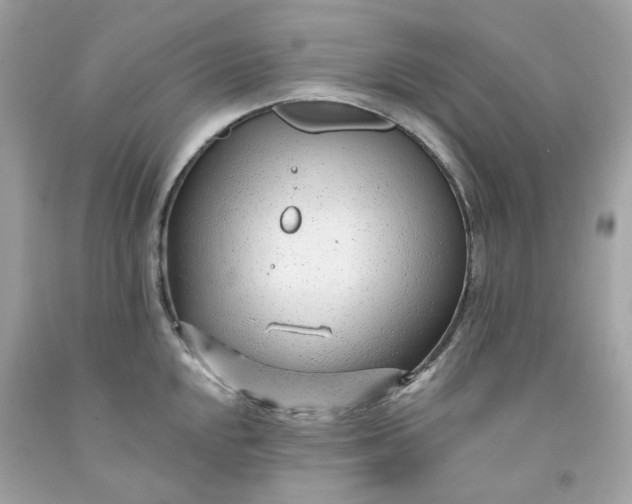 X0000091471048200709061814