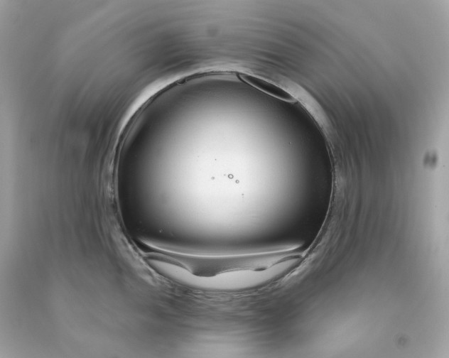 X0000091471052200709061814