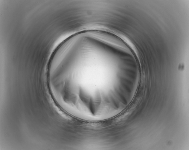 X0000091471053200709061814