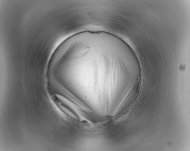 X0000091471056200709061814