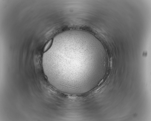 X0000091471059200709061814