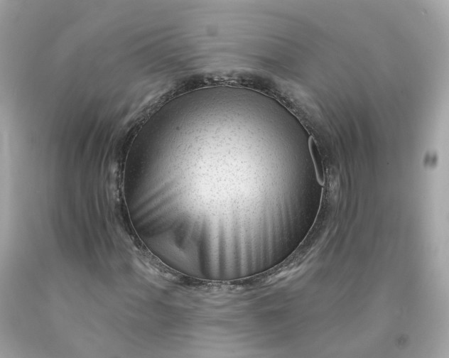 X0000091471060200709061814