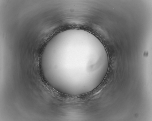 X0000091471061200709061814