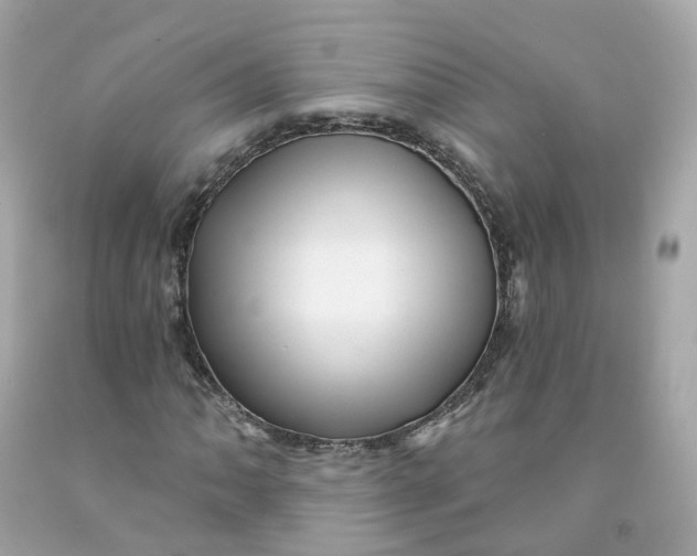 X0000091471062200709061814