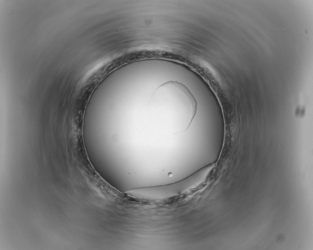 X0000091471064200709061814