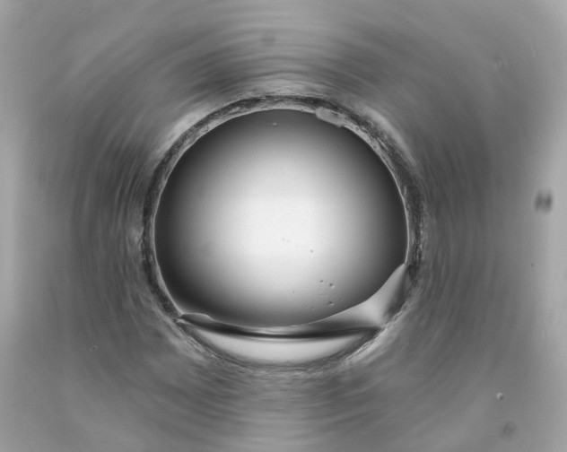 X0000091471065200709061814