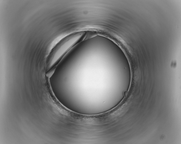 X0000091471066200709061813