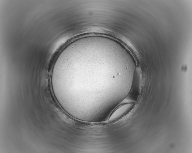 X0000091471067200709061813