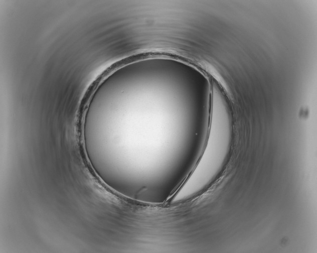 X0000091471068200709061813