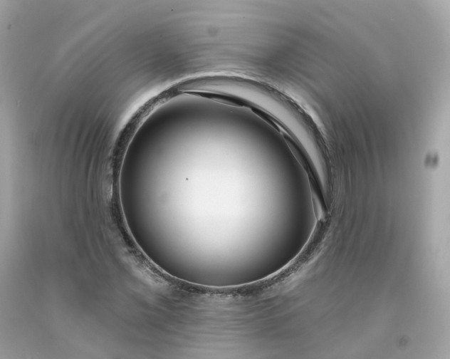 X0000091471069200709061813