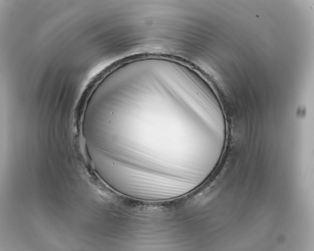 X0000091471070200709061813