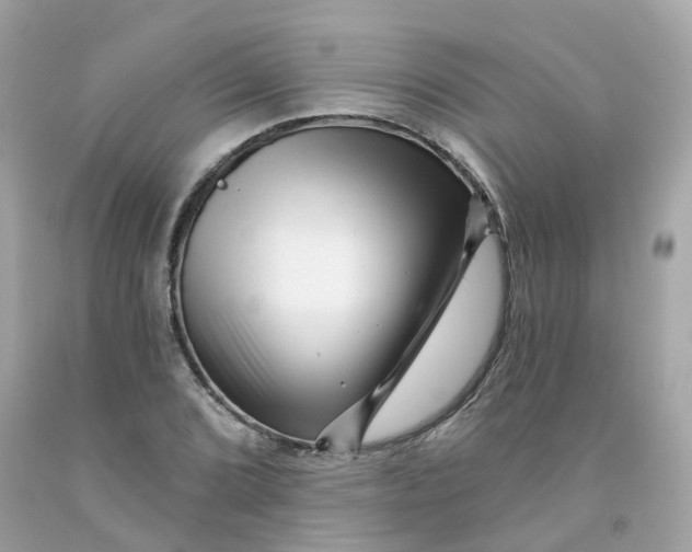 X0000091471072200709061813