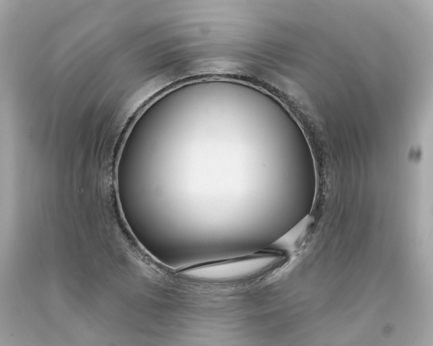 X0000091471073200709061813