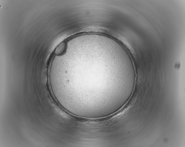 X0000091471075200709061813