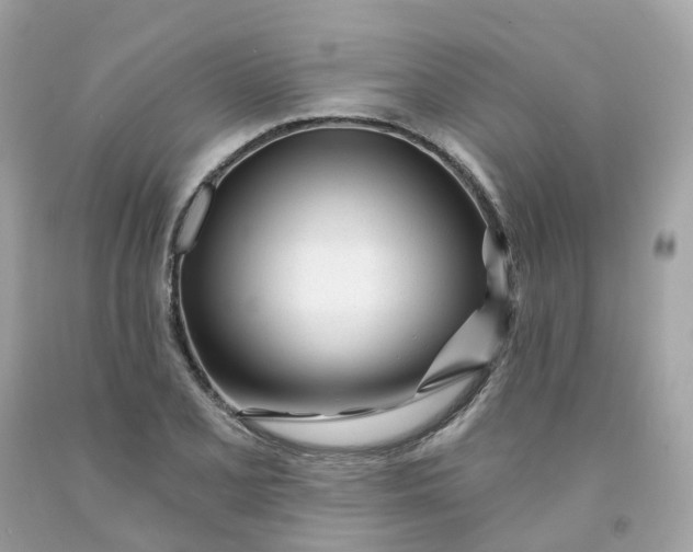 X0000091471077200709061813