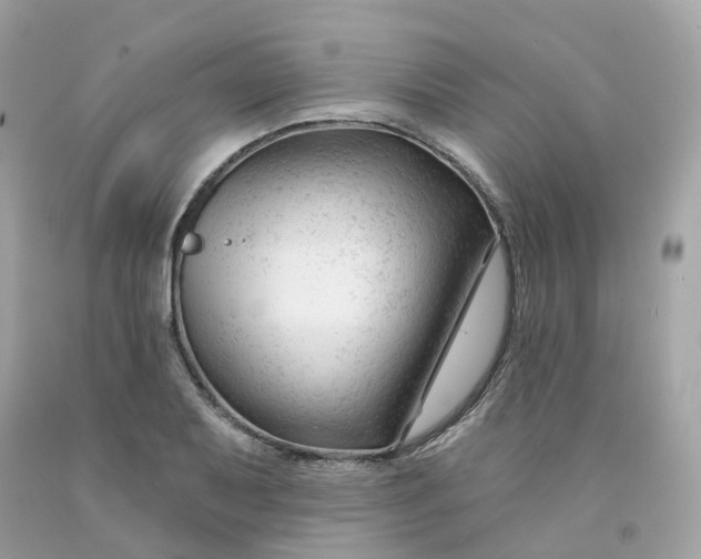 X0000091471079200709061813