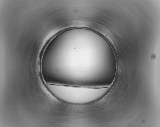 X0000091471080200709061813