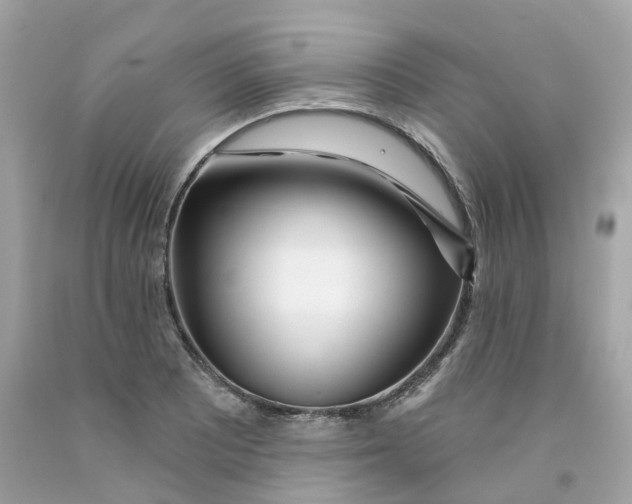 X0000091471081200709061813