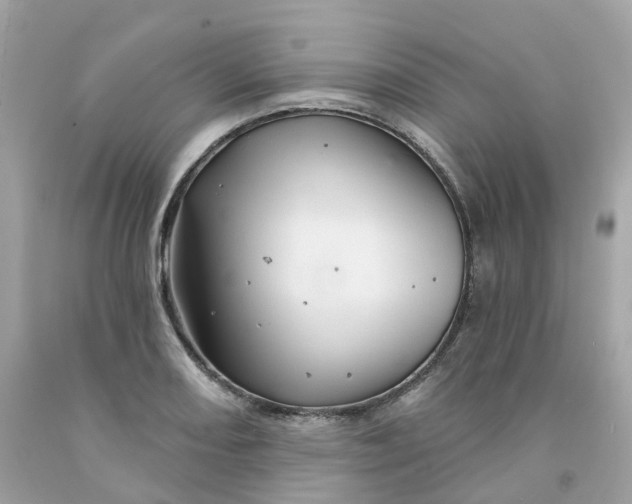 X0000091471082200709061813