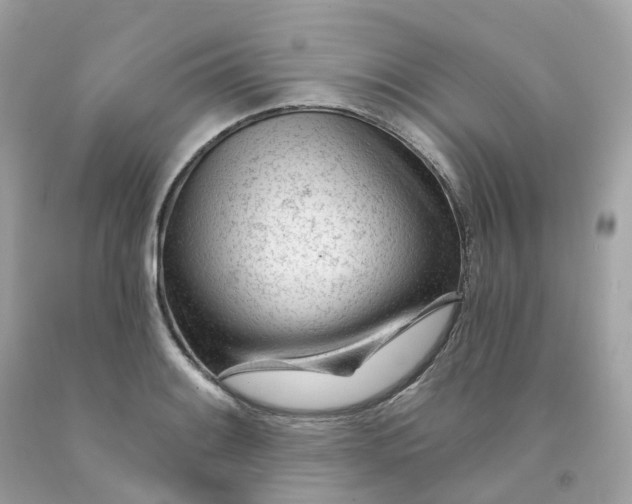 X0000091471084200709061813