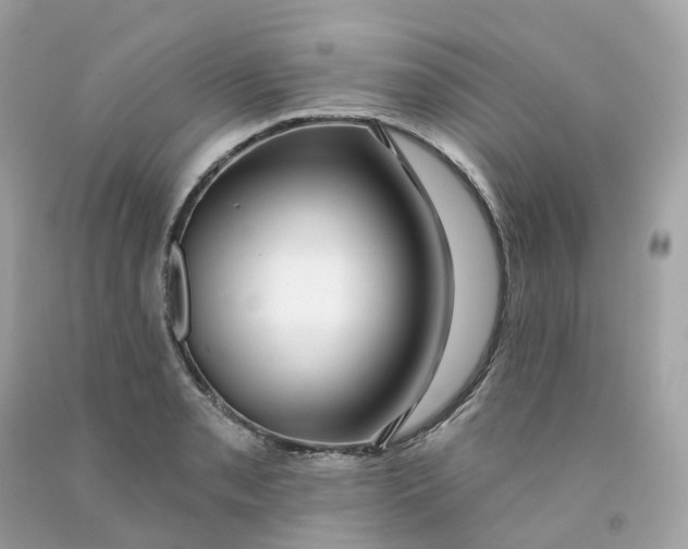 X0000091471085200709061813