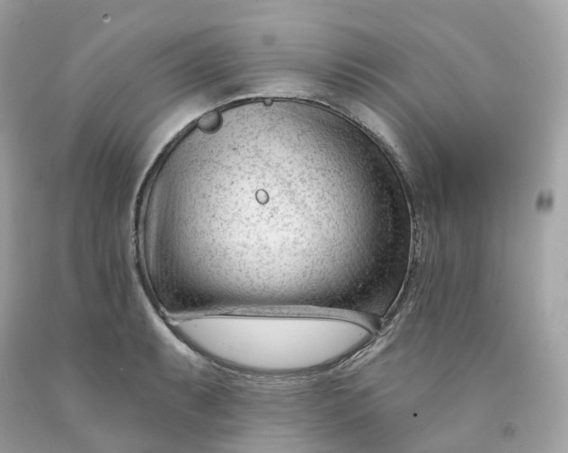 X0000091471087200709061813