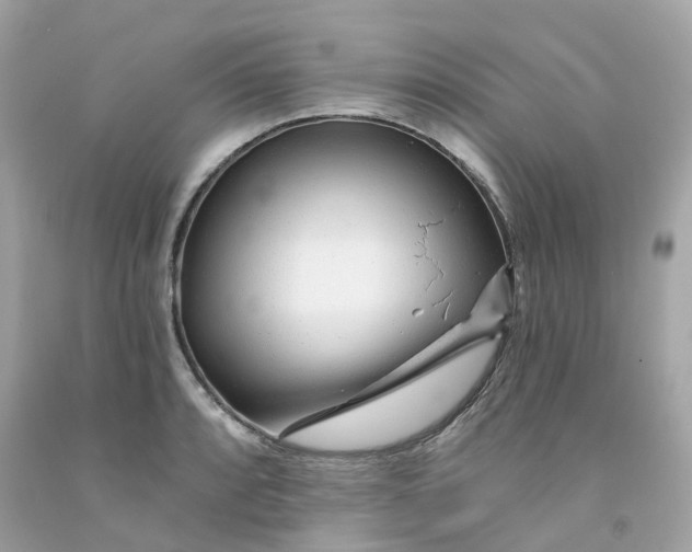 X0000091471088200709061813