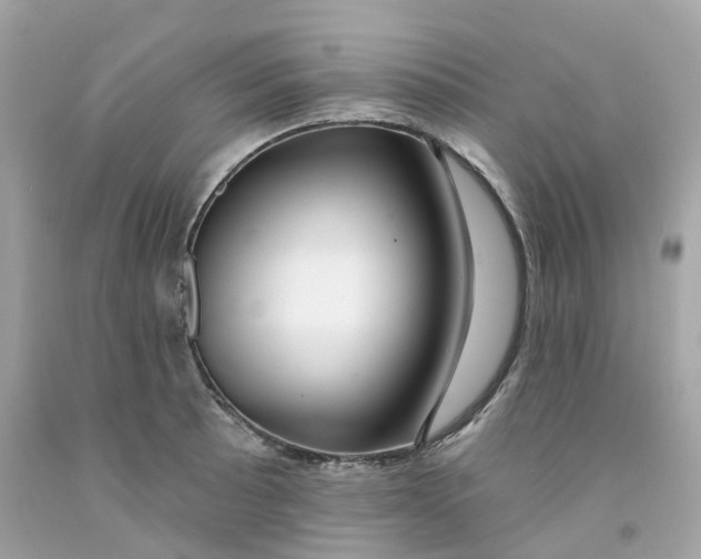 X0000091471089200709061813