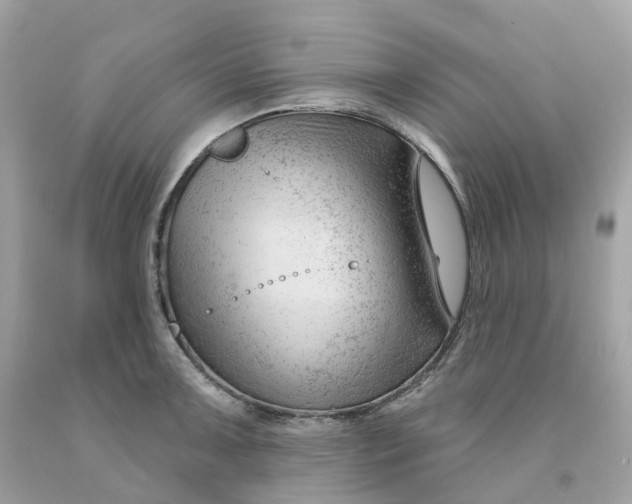 X0000091471091200709061813