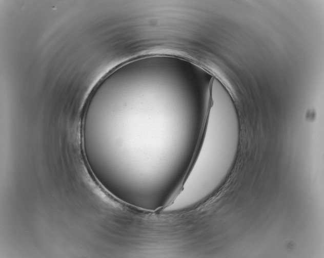 X0000091471092200709061813