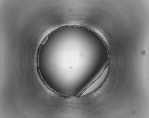 X0000091471093200709061813