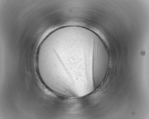 X0000091471094200709061813