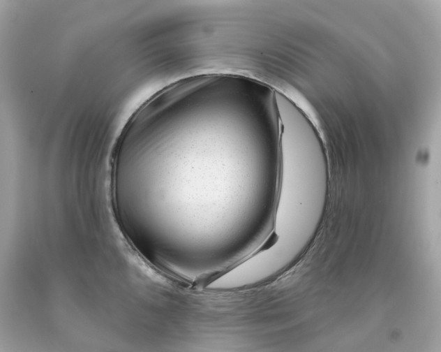 X0000091471096200709061813