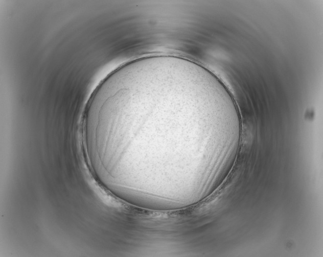 X0000091471098200709061813