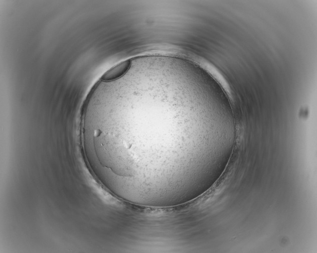 X0000091471099200709061813