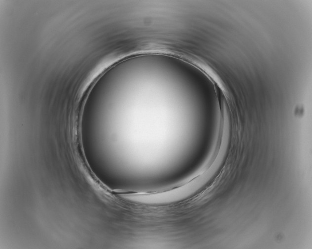 X0000091471101200709061813